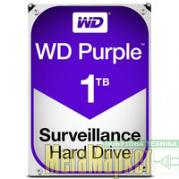 Жесткий диск WD Purple (WD10PURZ) МегаМаркет