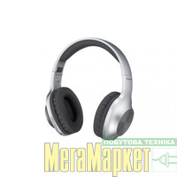 Навушники з мікрофоном Panasonic RB-HX220BEES Gray МегаМаркет